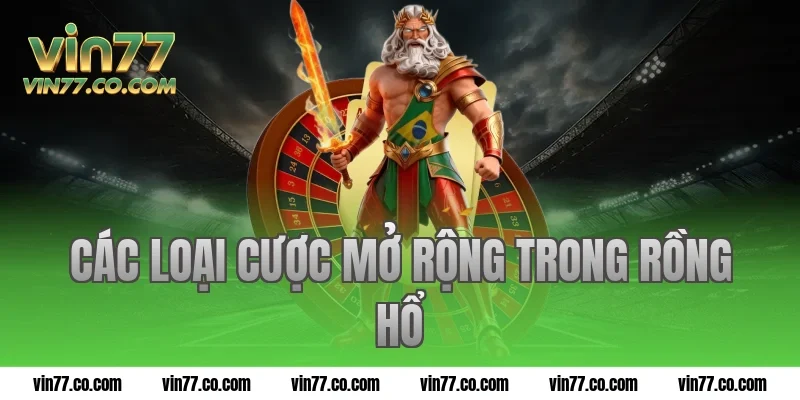 Các loại cược mở rộng trong Rồng Hổ